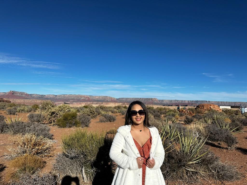 Traveller standing among desert shrubs and red-rock terrain in Arizona