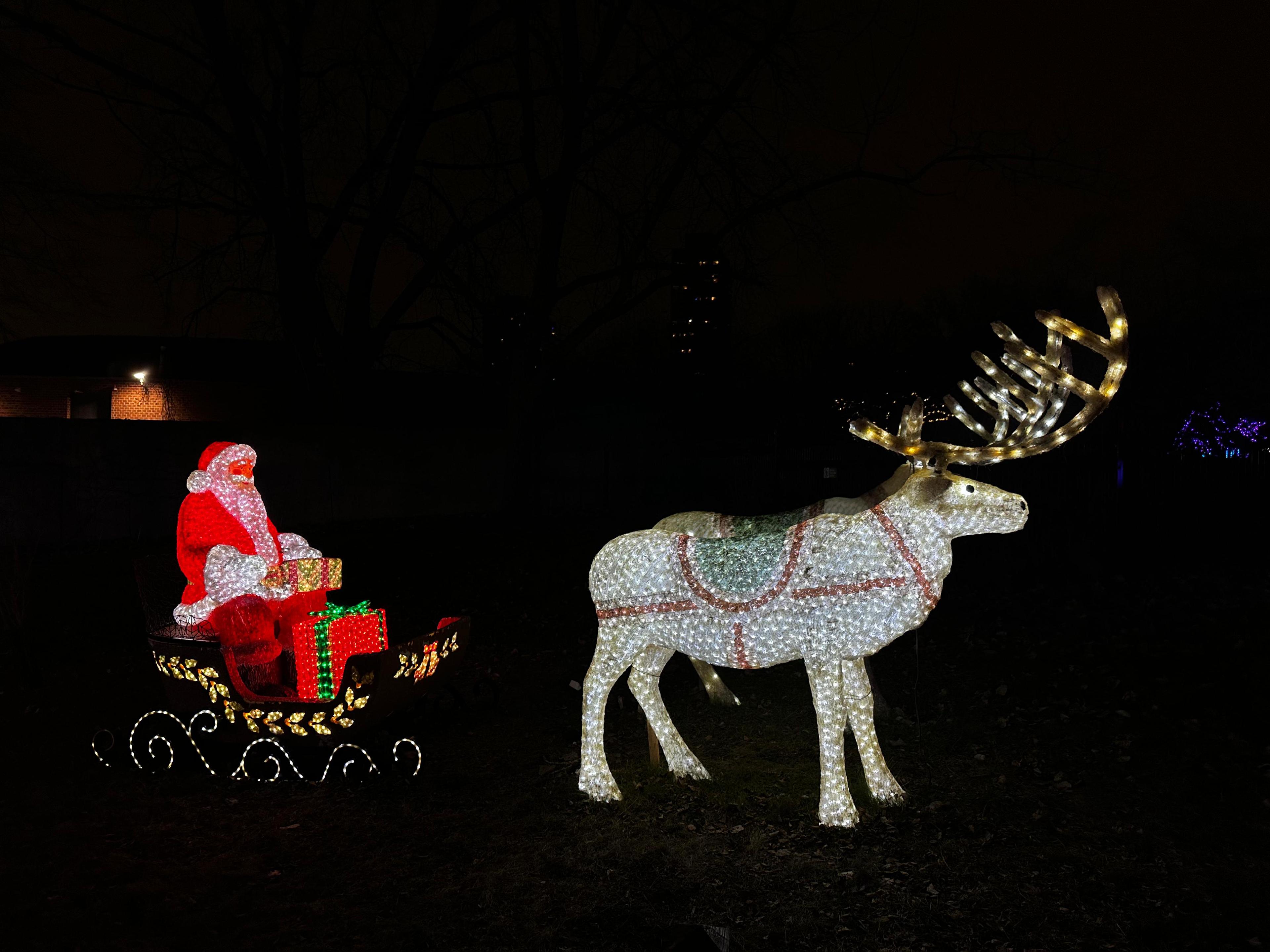 Illuminated Santa sleigh and reindeer display during a Chicago winter trip