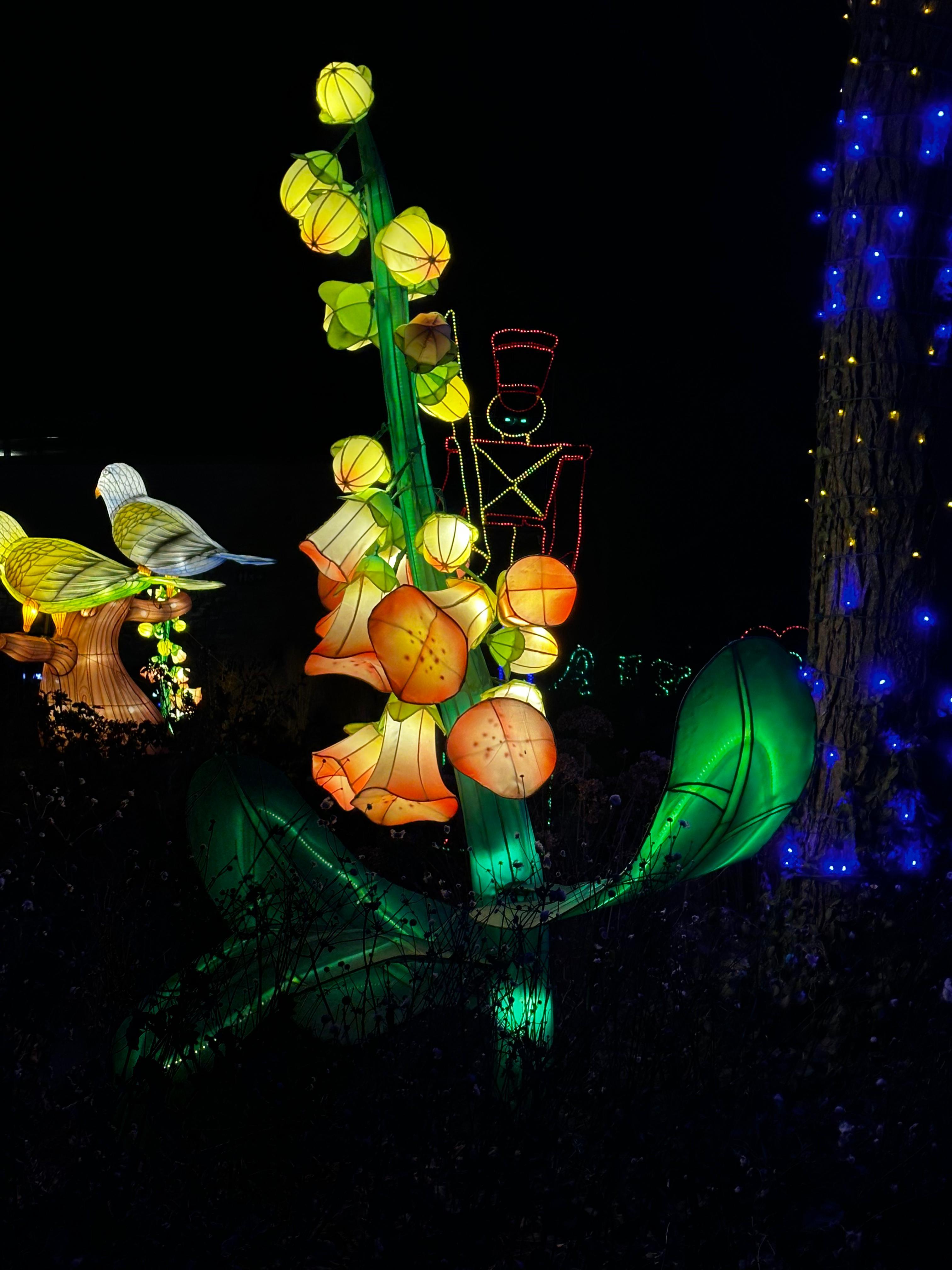Colorful illuminated storybook character and botanical holiday display