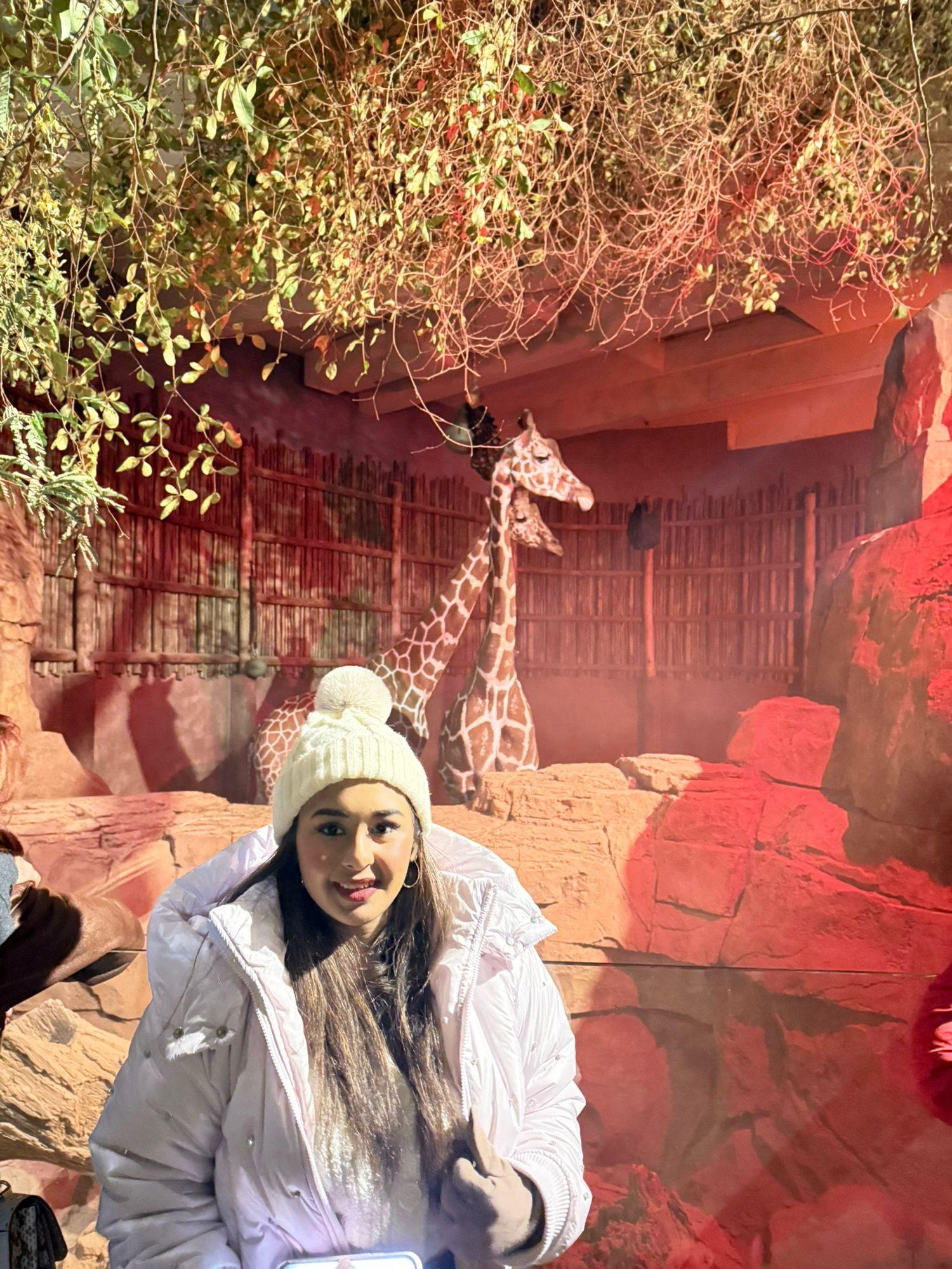 Traveller inside a warm red-rock wildlife habitat during the Chicago trip