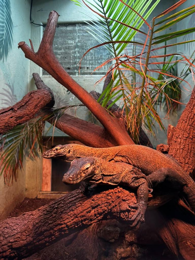 Snakes, turtles, lizards, and a surprisingly fun animal stop.