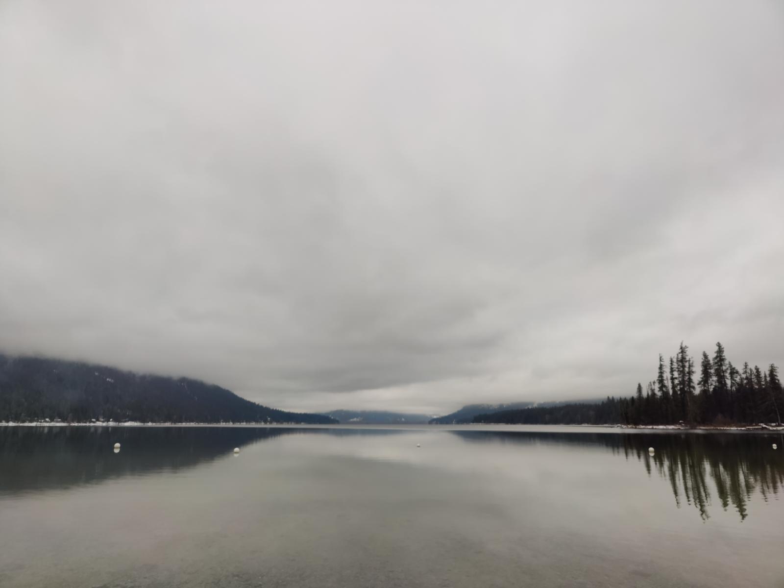 Still Washington lake reflecting trees beneath a grey sky