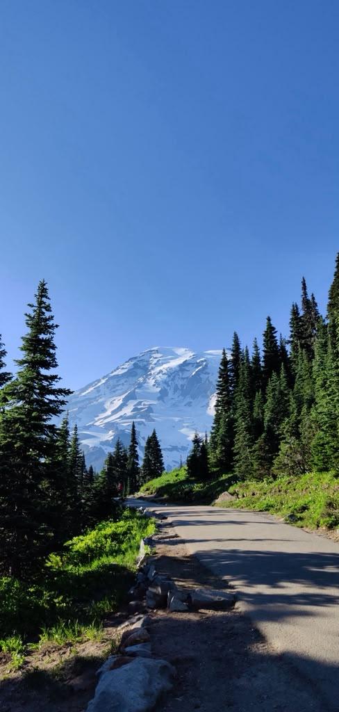 Trail leading toward Mount Rainier beneath a clear blue sky