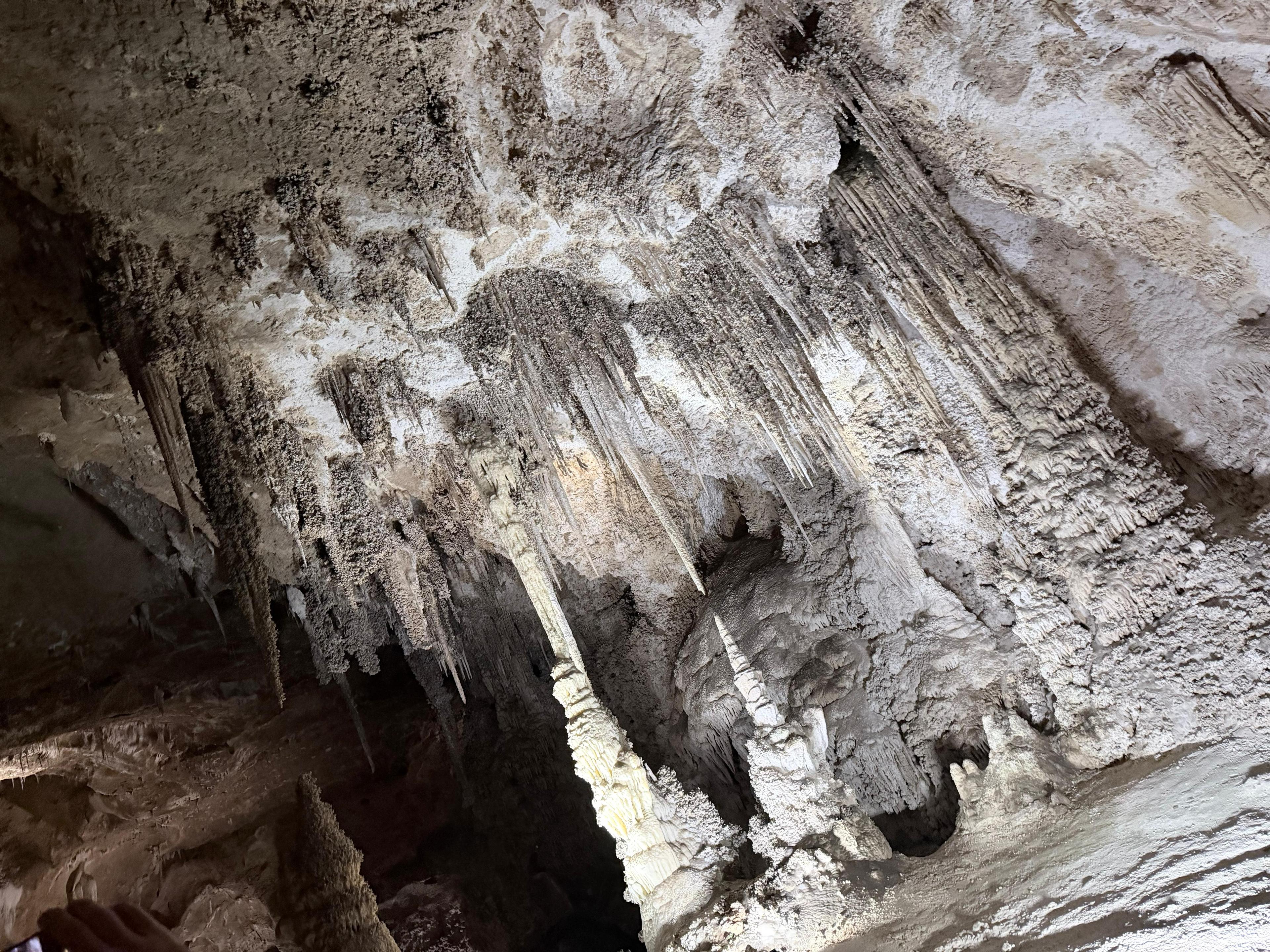 Wide illuminated cavern chamber inside Carlsbad Caverns