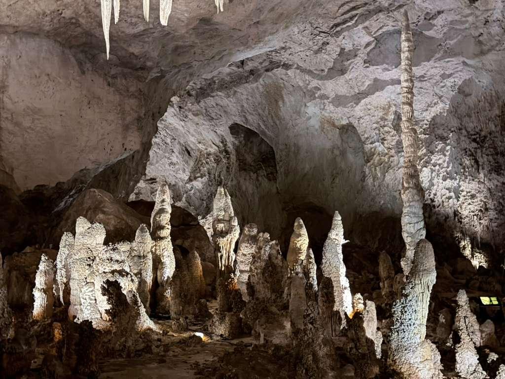 Dense group of stalagmites beneath a high cavern ceiling